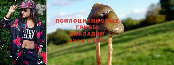 герыч Няндома