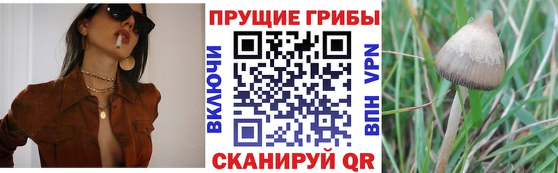 Галлюциногенные грибы мухоморы  купить  цена  Покачи 